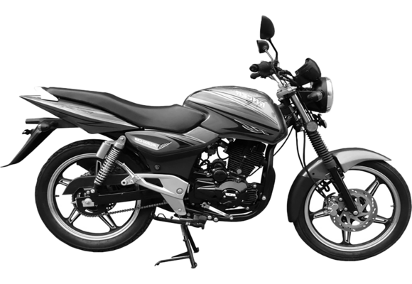 Мотоцикл Racer RC200-C5B Magnum (белый) (Россия) pitbikemarket.ru